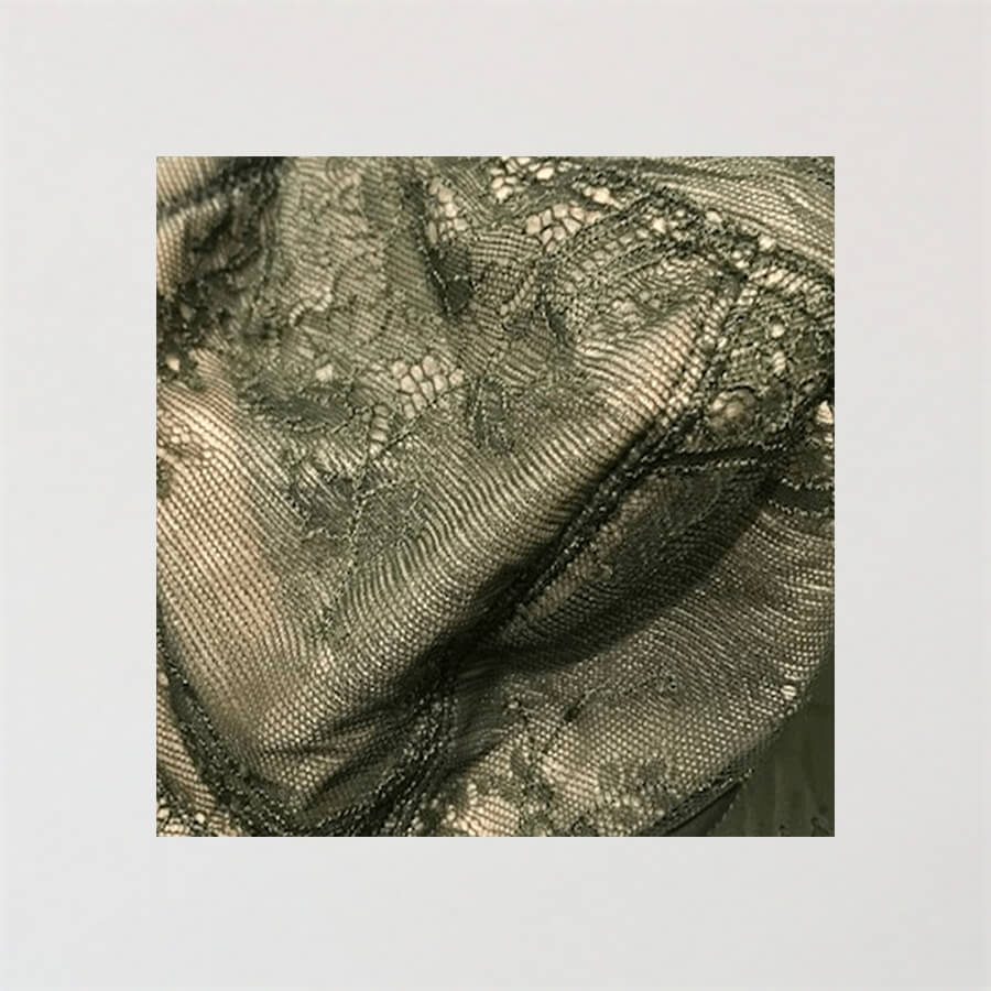 Nightingale Lace Full Brief - Licorice Green