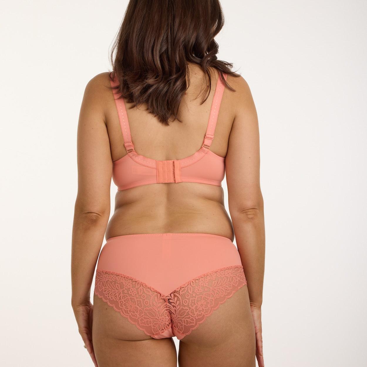 Lily Lace Midi Brief - Terra Cotta