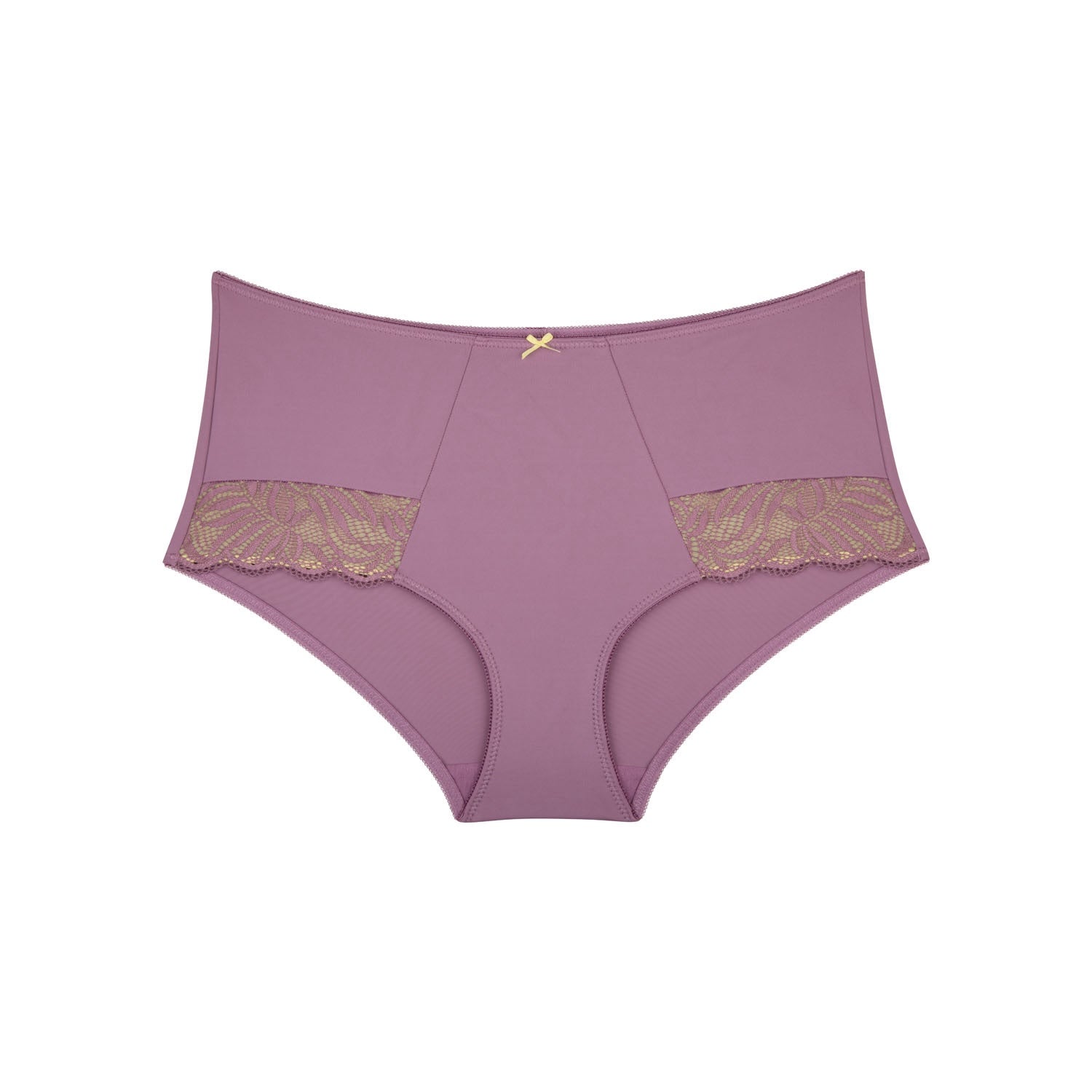 Radiate Lace Full Brief - Lavender Spritz